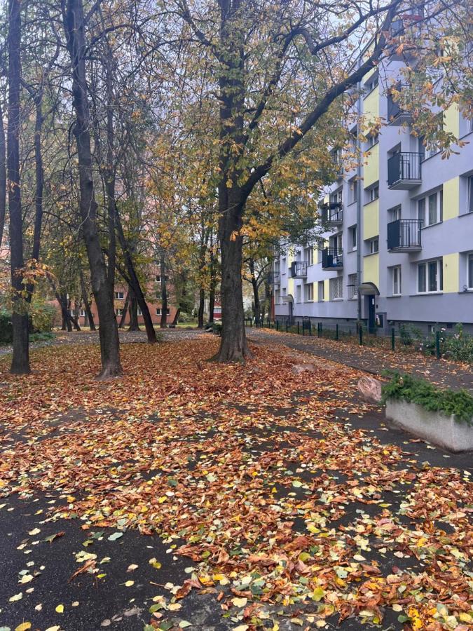 Yellow Apartment Airport Galeria Mokotow Netflix Warsaw Exterior photo